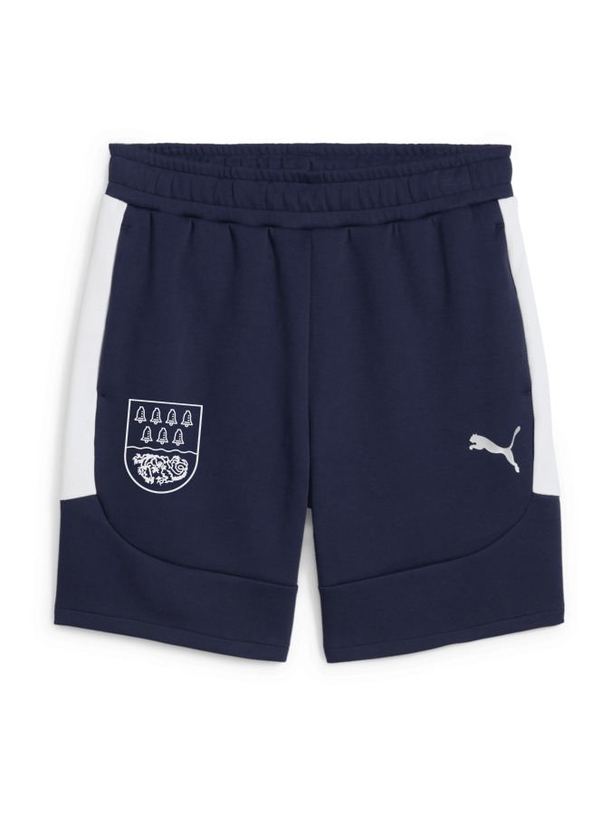 PUMA teamEVOSTRIPE Shorts