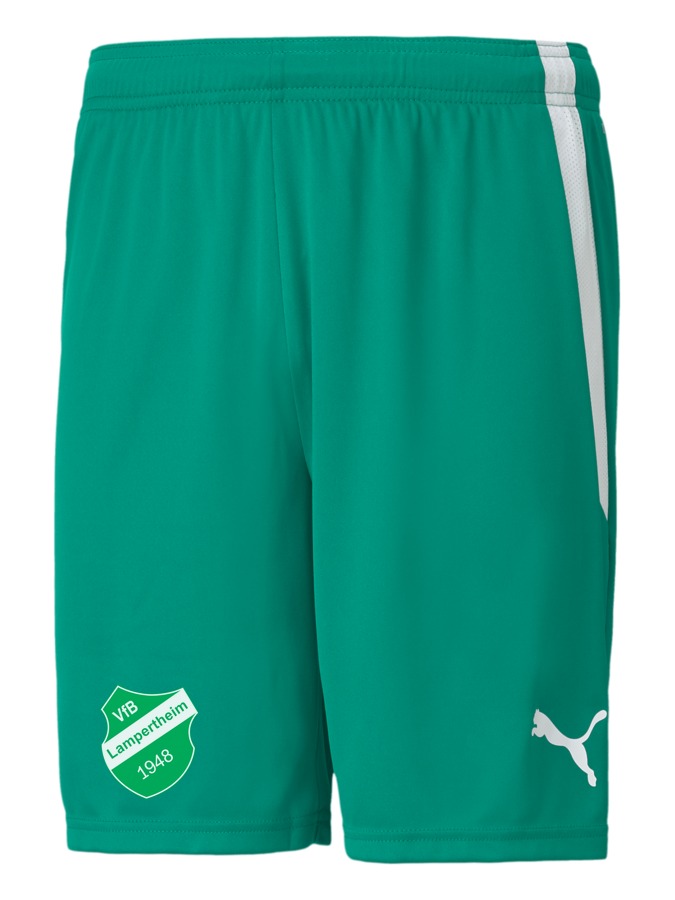 PUMA teamLIGA Shorts