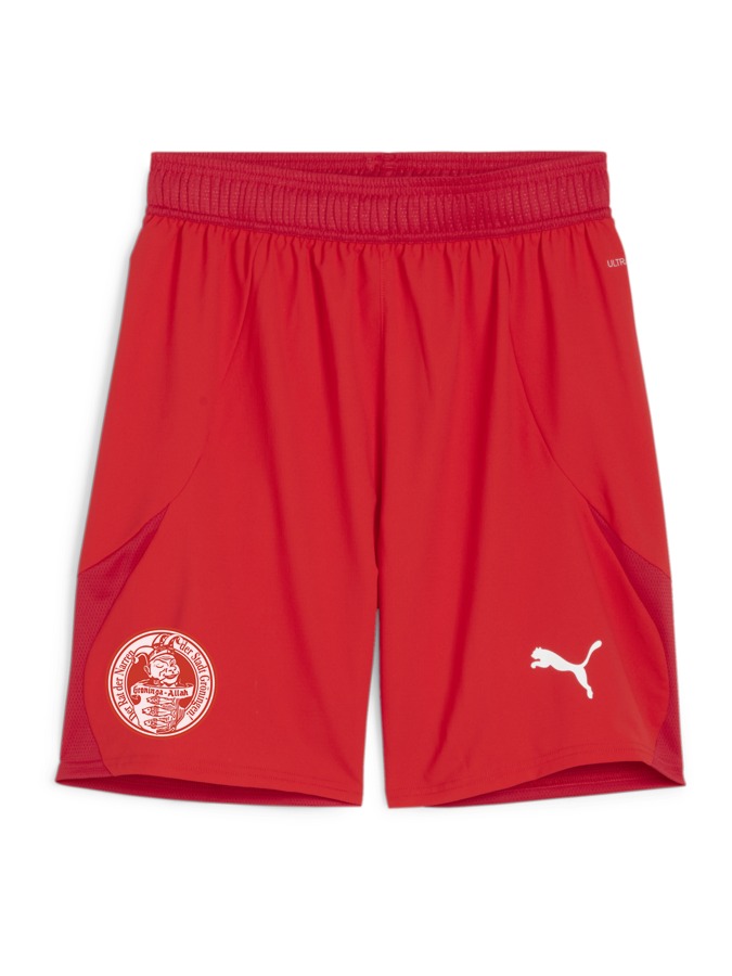 PUMA teamFINAL Shorts