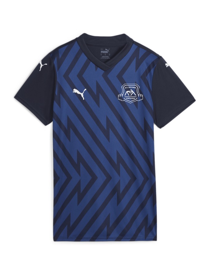 PUMA teamGLORY Trikot Damen