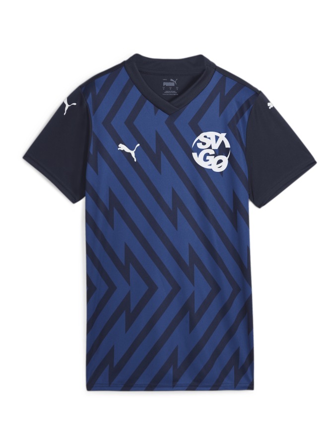 PUMA teamGLORY Trikot Damen