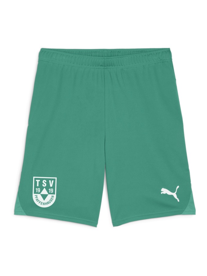 PUMA teamGOAL Shorts