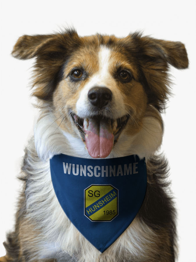 Hundehalstuch