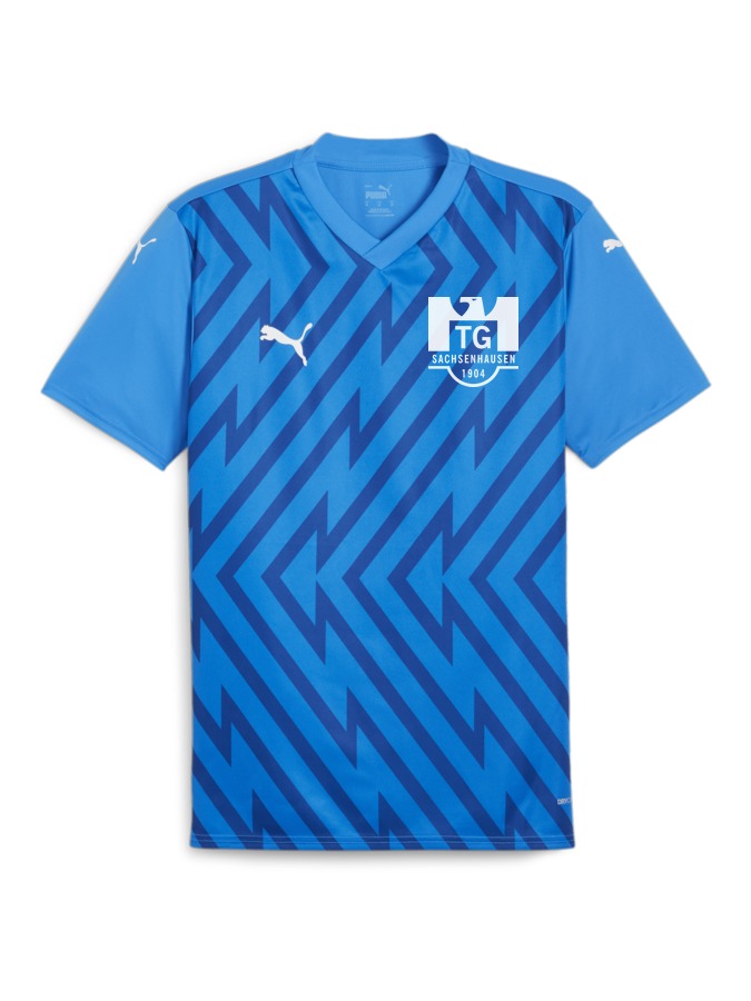 PUMA teamGLORY Trikot