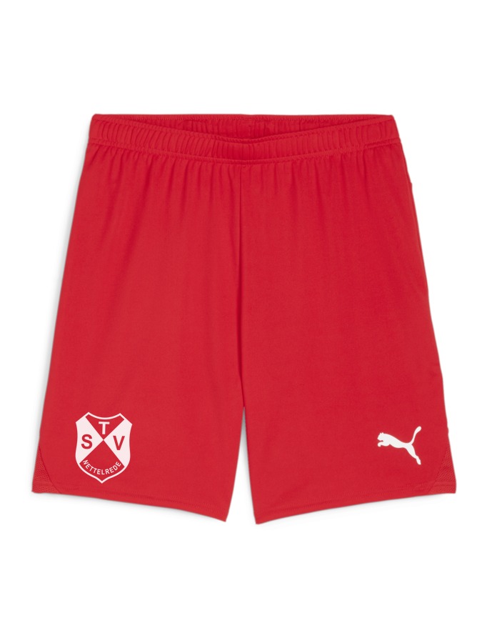 PUMA teamGOAL Shorts