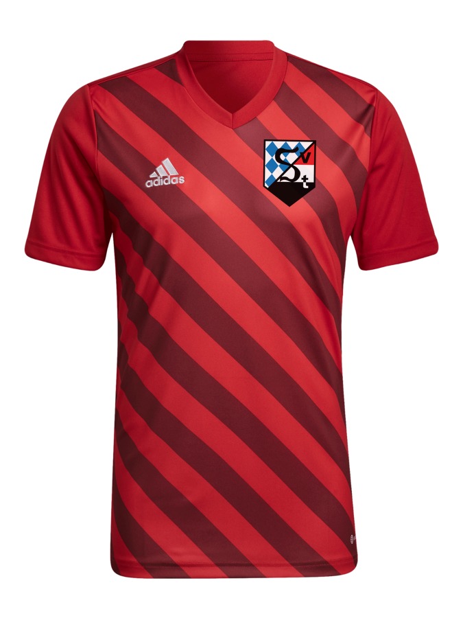 adidas Entrada 22 GFX Trikot