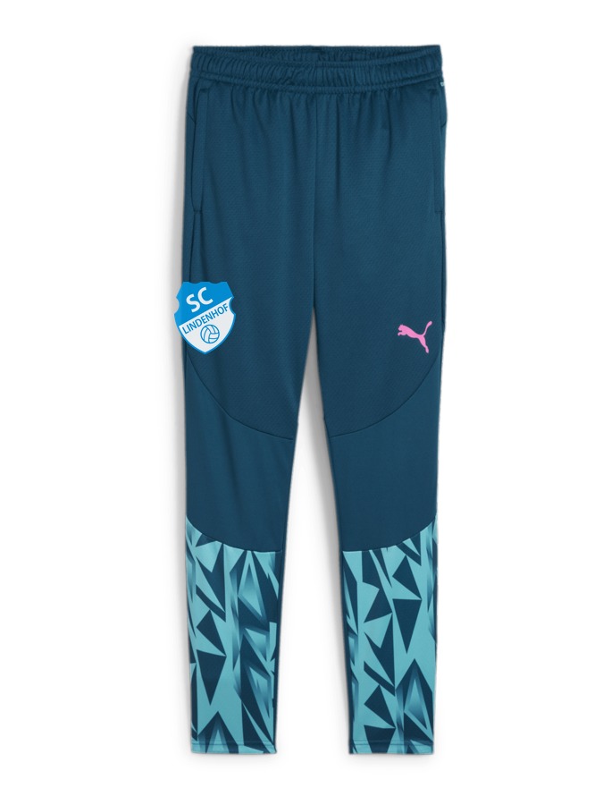 PUMA individualFINAL Trainingshose