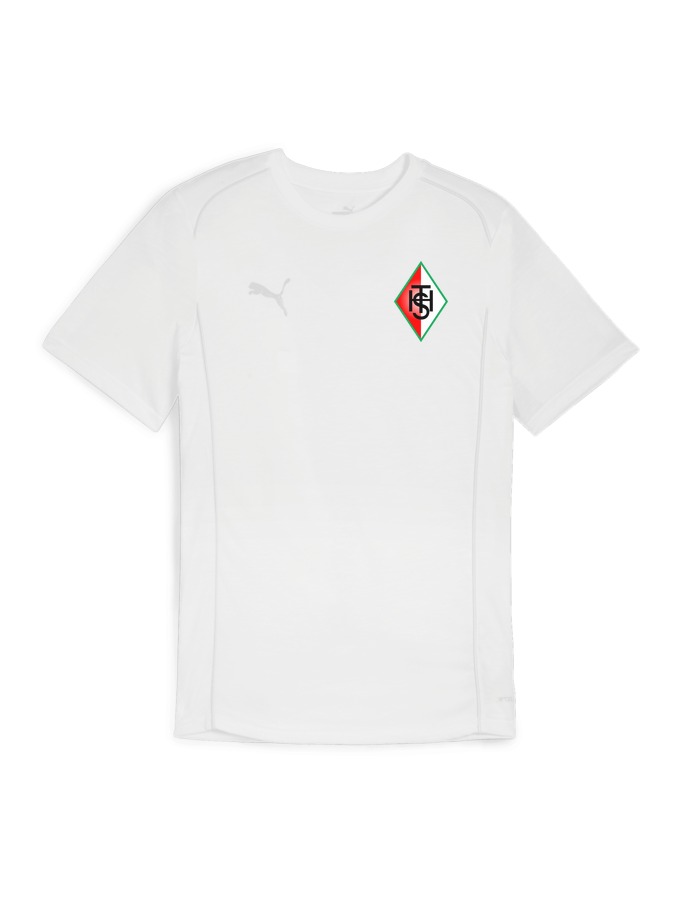 PUMA teamFINAL Casuals T-Shirt