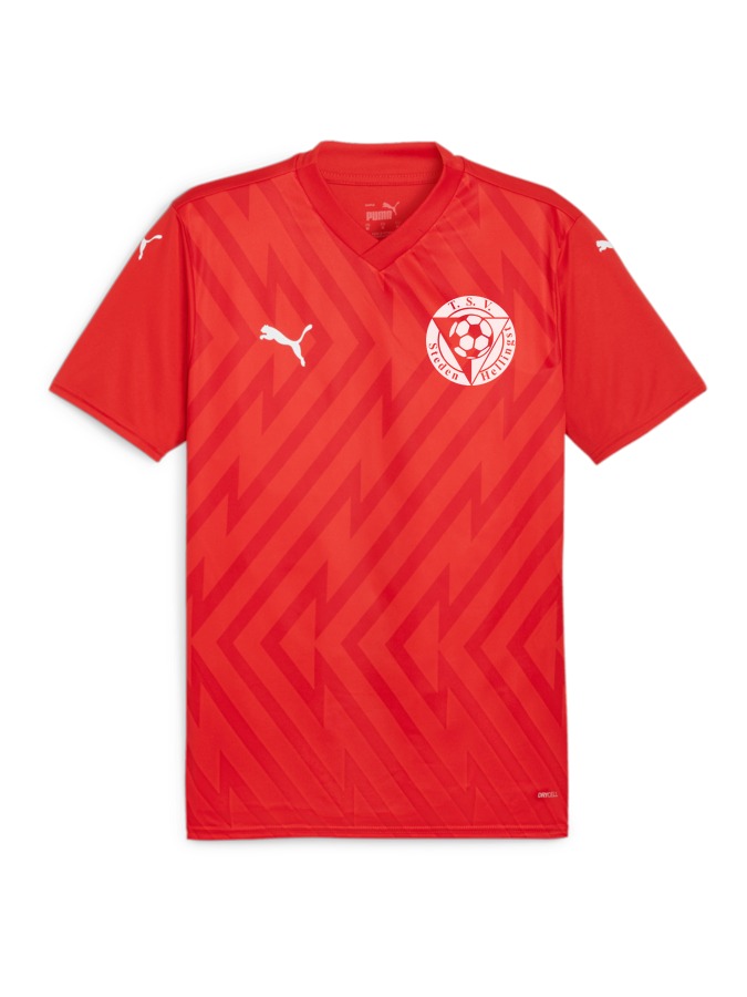 PUMA teamGLORY Trikot