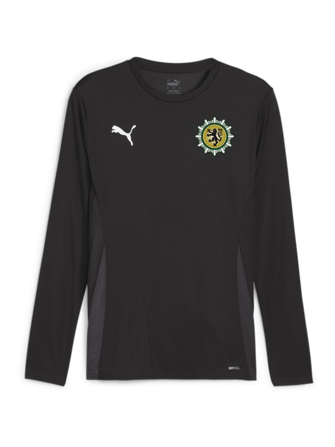 PUMA teamGOAL Longsleeve Trikot