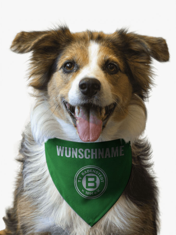 Hundehalstuch