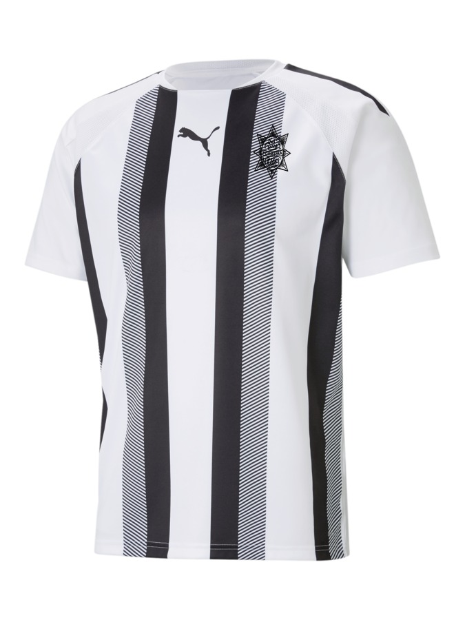 PUMA teamLIGA Striped Trikot