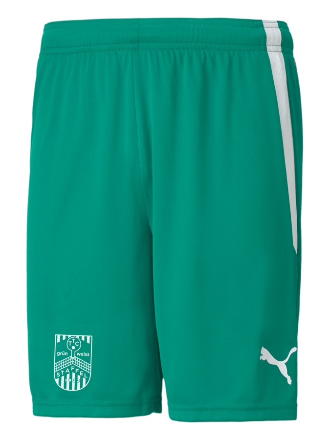 PUMA teamLIGA Shorts