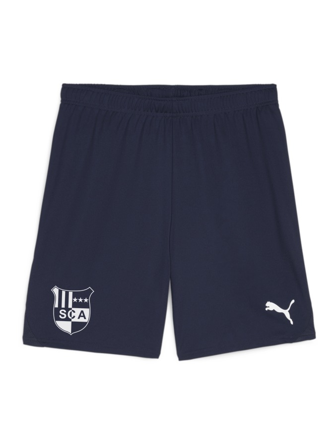 PUMA teamGOAL Shorts