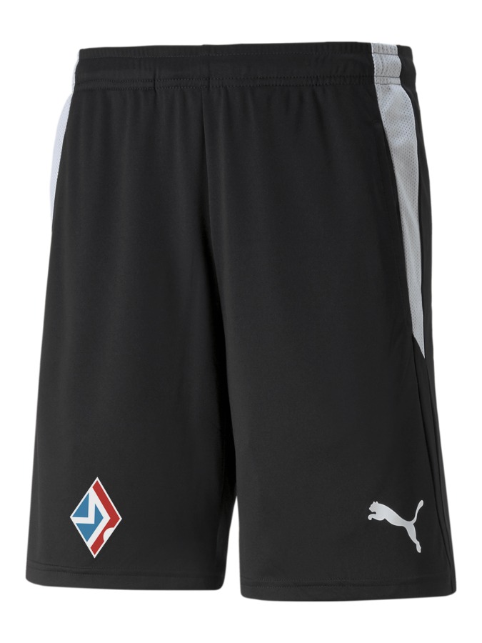 PUMA teamLIGA Referee Shorts