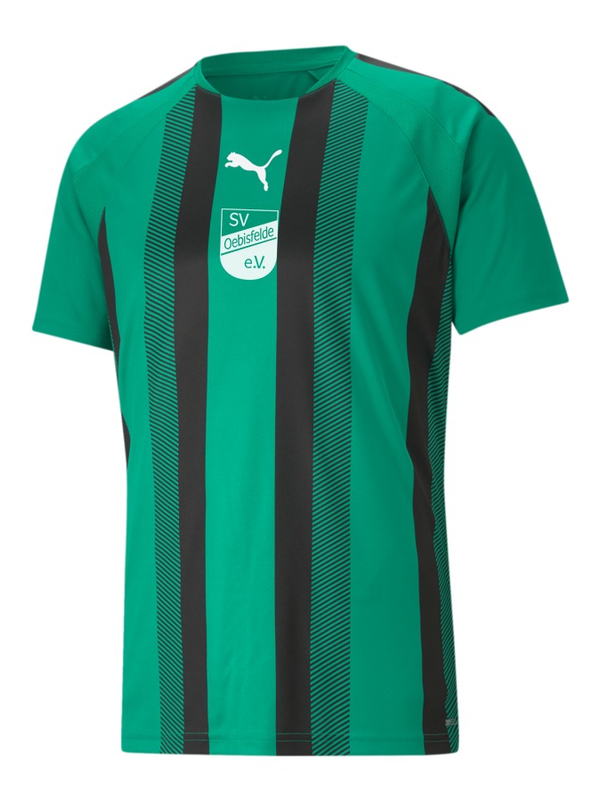 PUMA teamLIGA Striped Trikot
