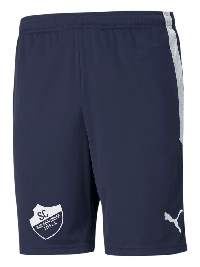 PUMA teamLIGA Training Shorts