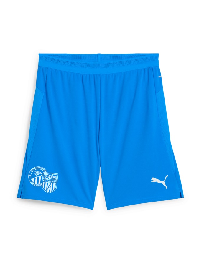 PUMA teamCUP Shorts