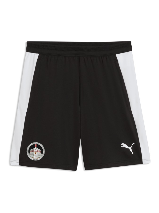 PUMA teamFINAL26 Training Shorts