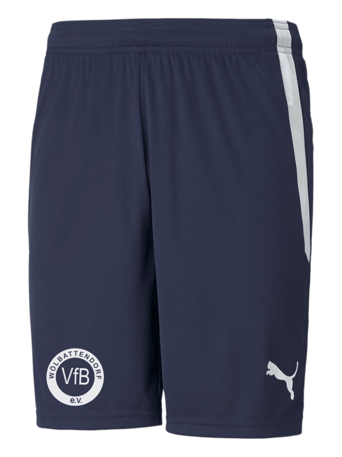 PUMA teamLIGA Shorts
