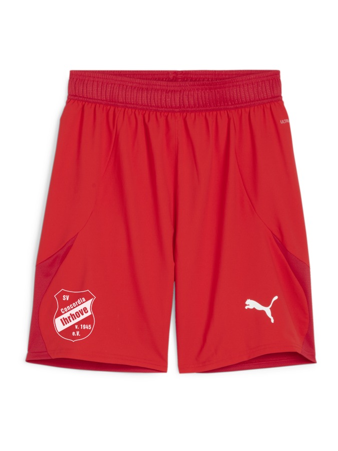 PUMA teamFINAL Shorts