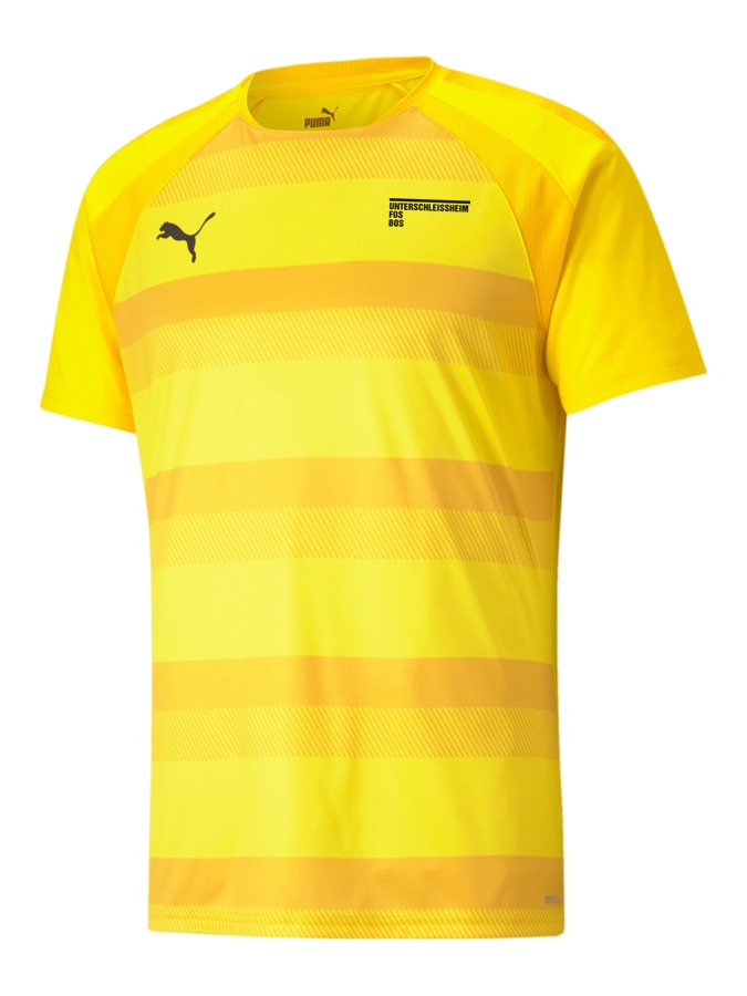 PUMA teamVISION Trikot