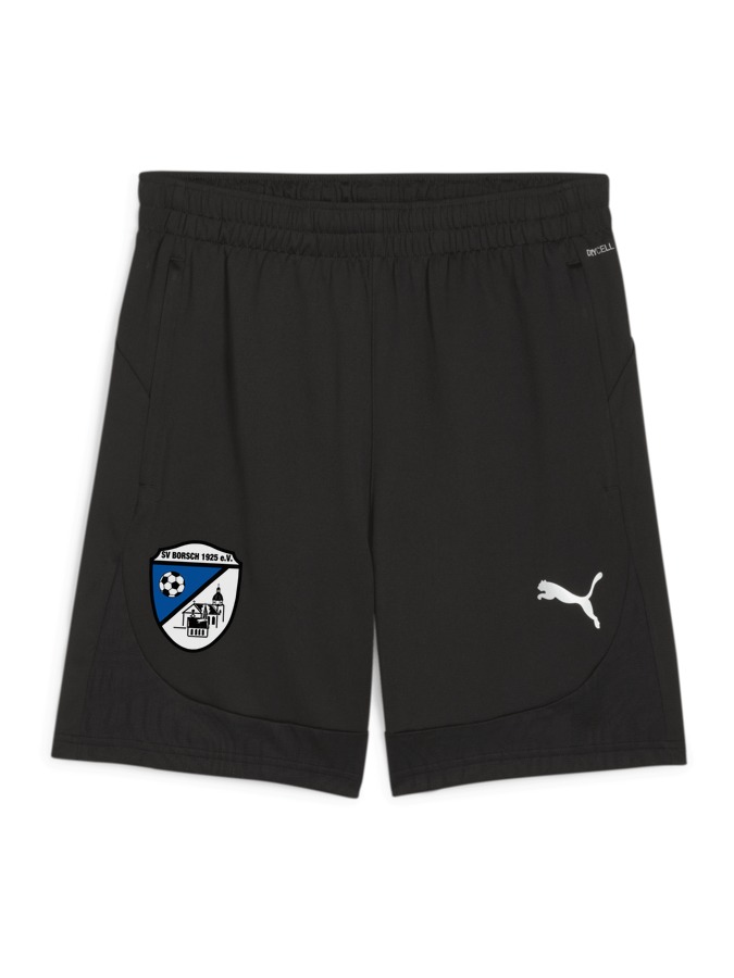 PUMA teamFINAL Training Shorts