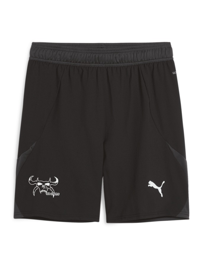 PUMA teamFINAL Shorts
