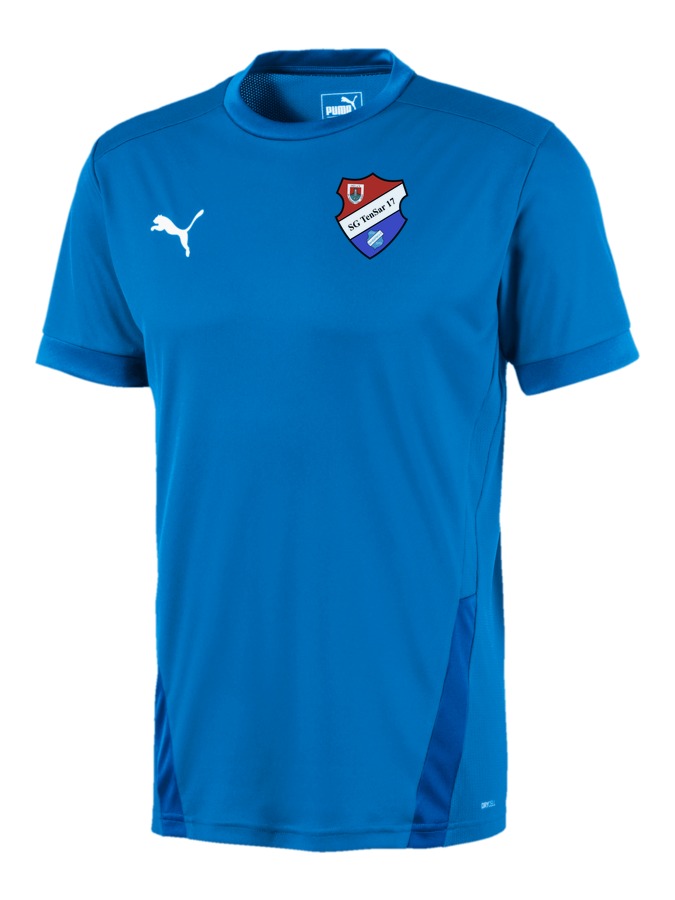 PUMA teamGOAL 23 Trikot