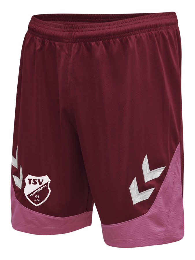 Hummel Lead Trainingsshorts