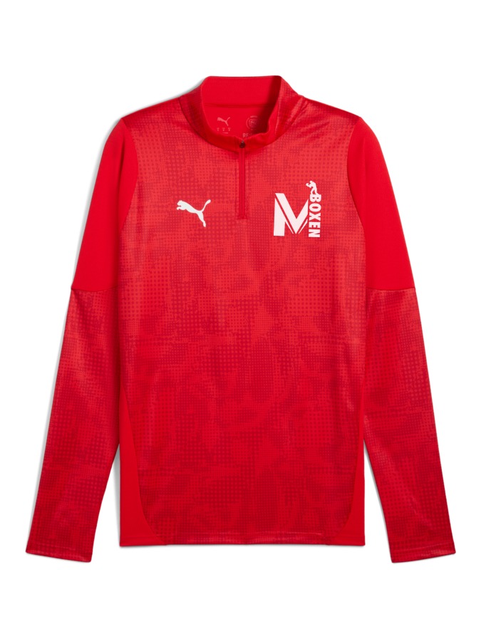 PUMA teamCUP Training 1/4-Zip-Top