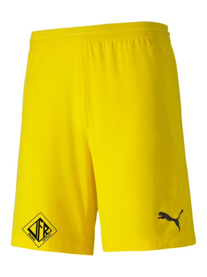 PUMA teamFINAL 21 Knit Shorts
