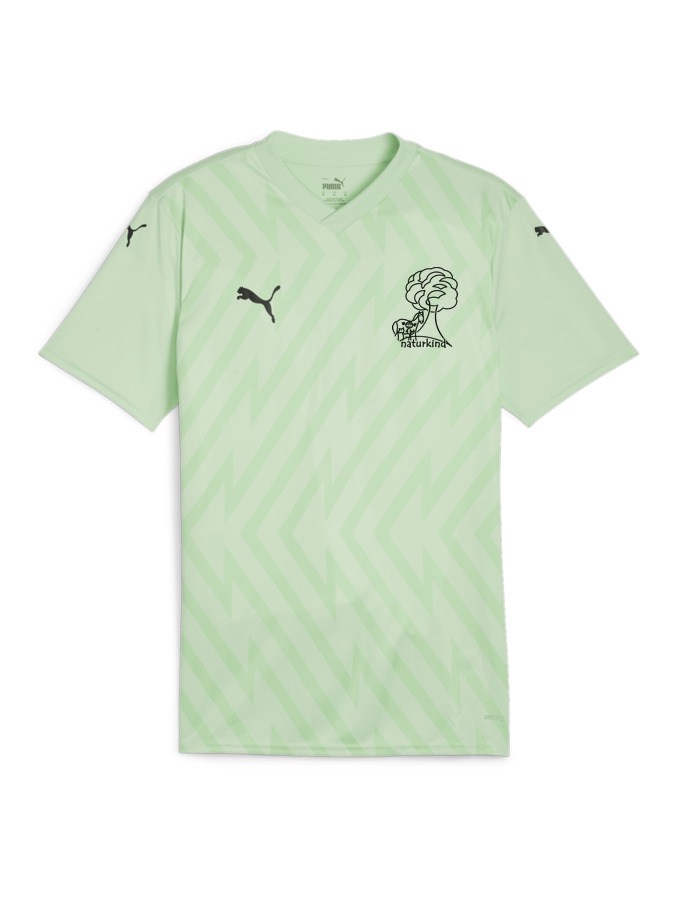 PUMA teamGLORY Trikot