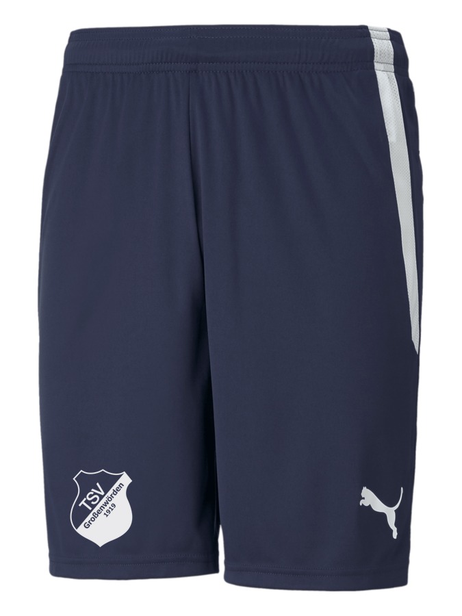 PUMA teamLIGA Shorts