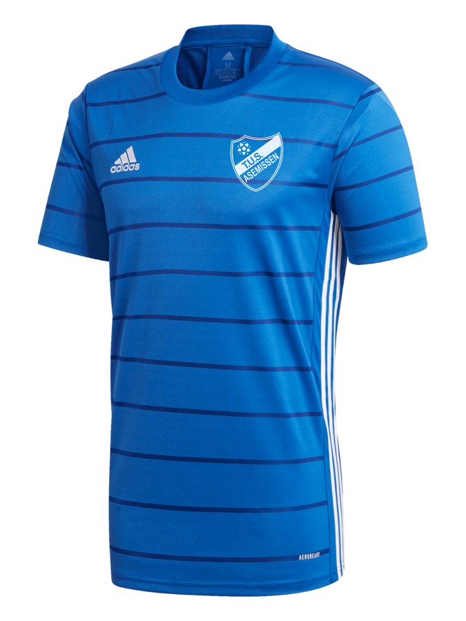 adidas campeon 21 trikotsatz