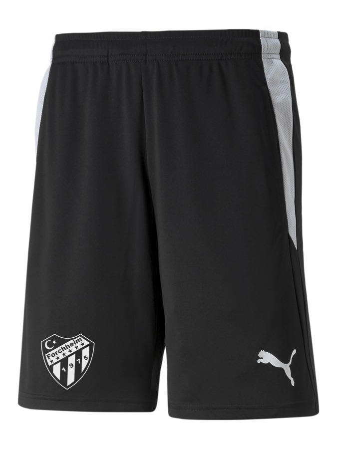 PUMA teamLIGA Referee Shorts