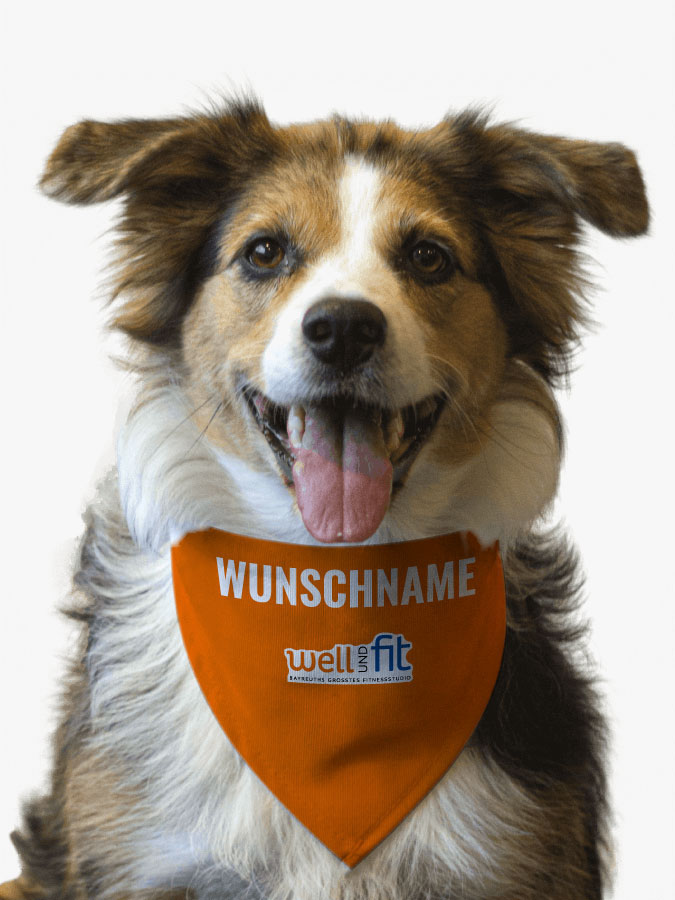 Hundehalstuch