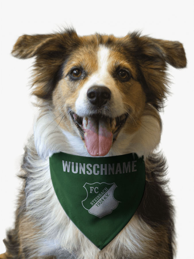 Hundehalstuch