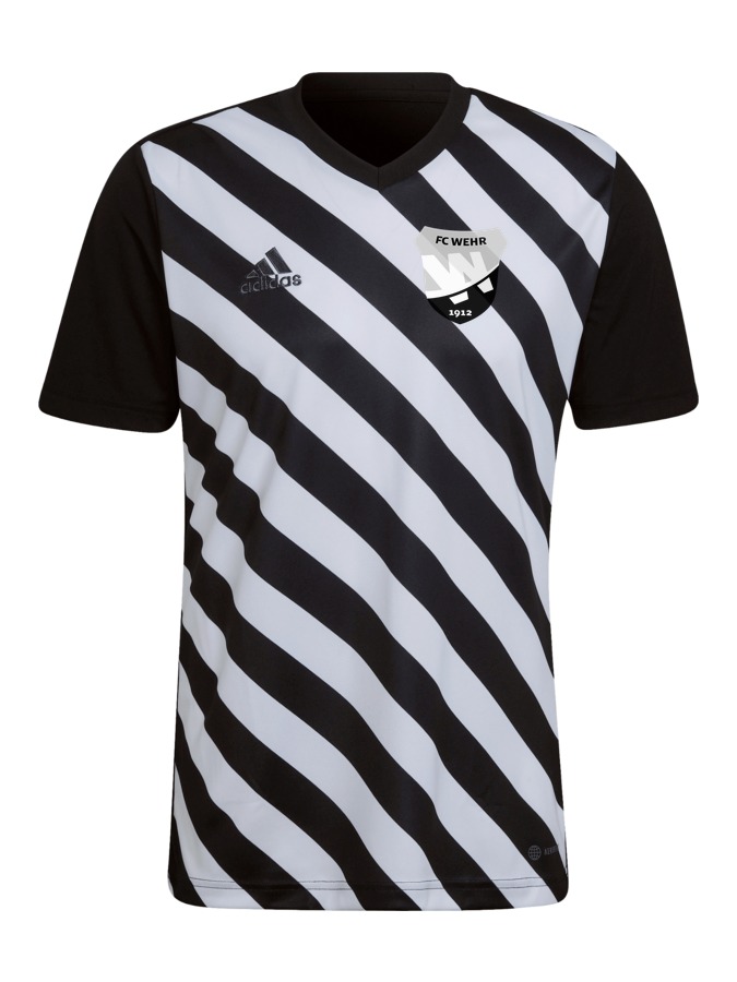 adidas Entrada 22 GFX Trikot
