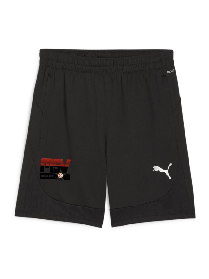PUMA teamFINAL Training Shorts
