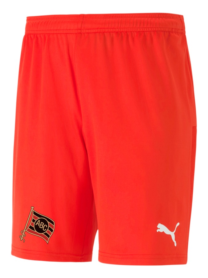 PUMA teamGOAL 23 Knit Shorts