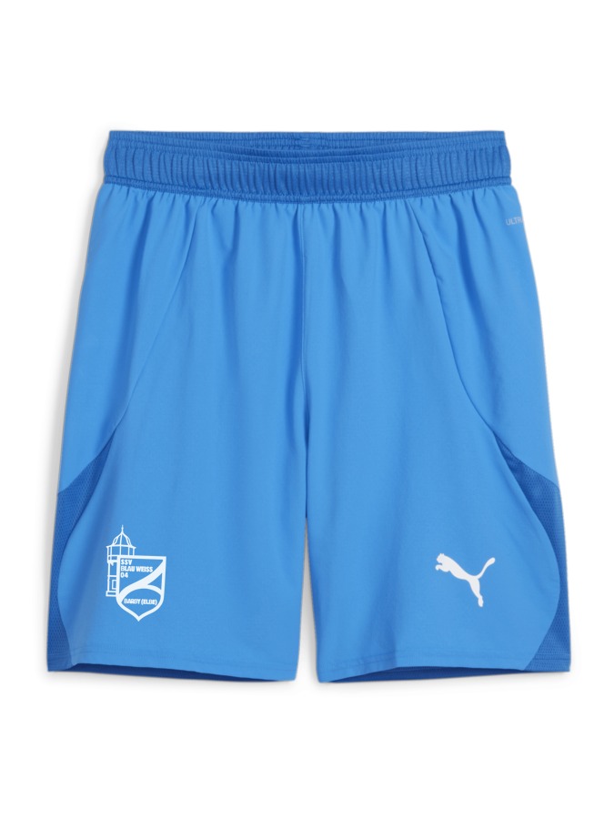 PUMA teamFINAL Shorts