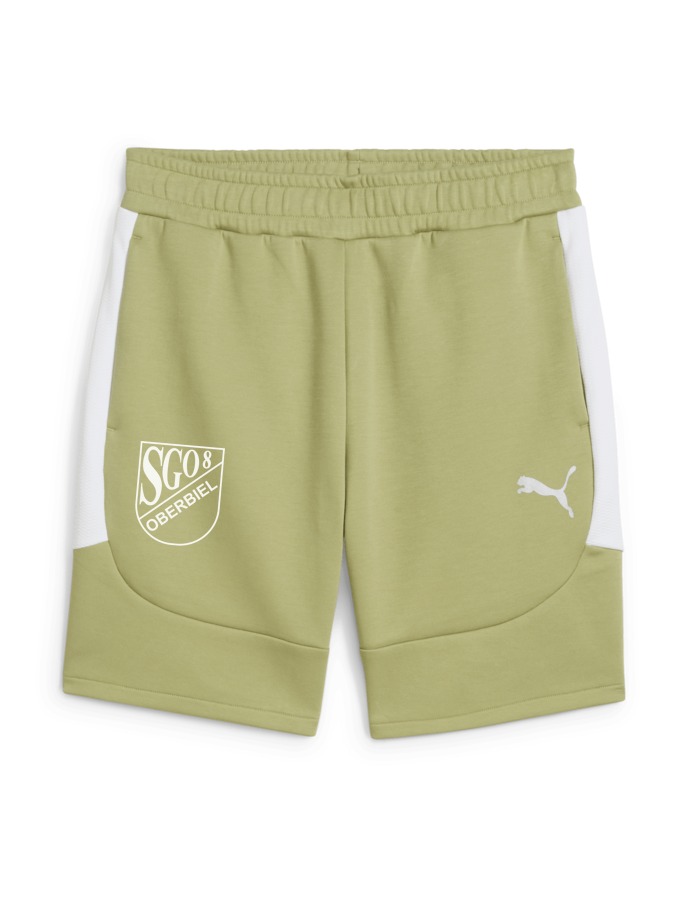 PUMA teamEVOSTRIPE Shorts