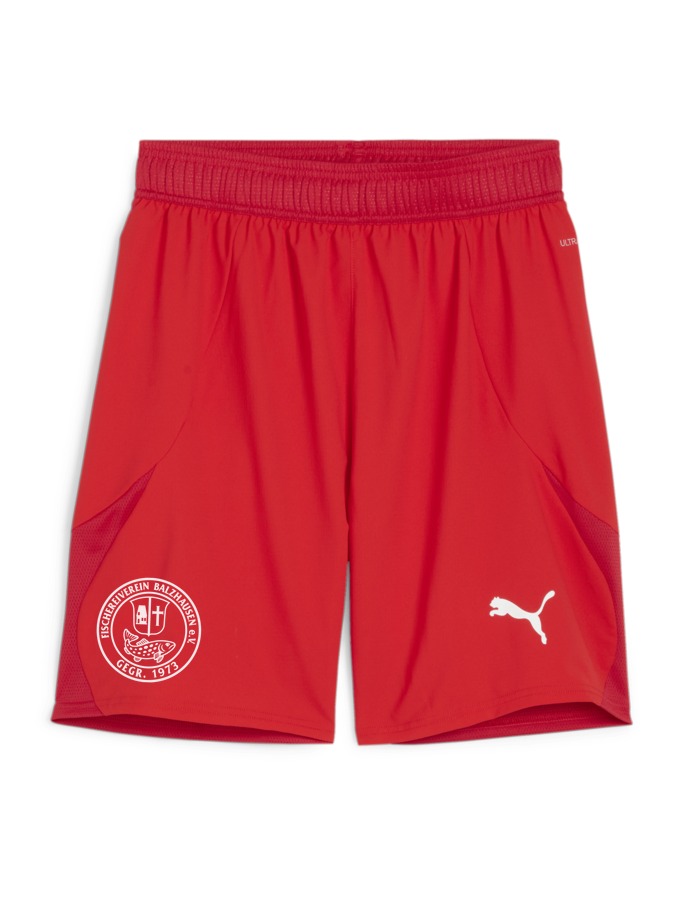 PUMA teamFINAL Shorts