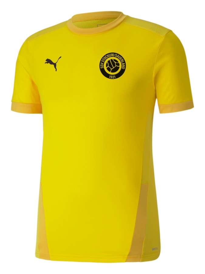 PUMA teamGOAL 23 Trikot