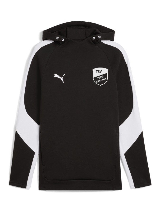 PUMA teamEVOSTRIPE Hoody