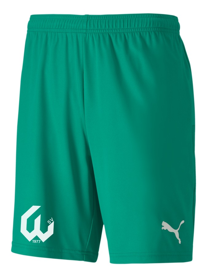 PUMA teamGOAL 23 Knit Shorts