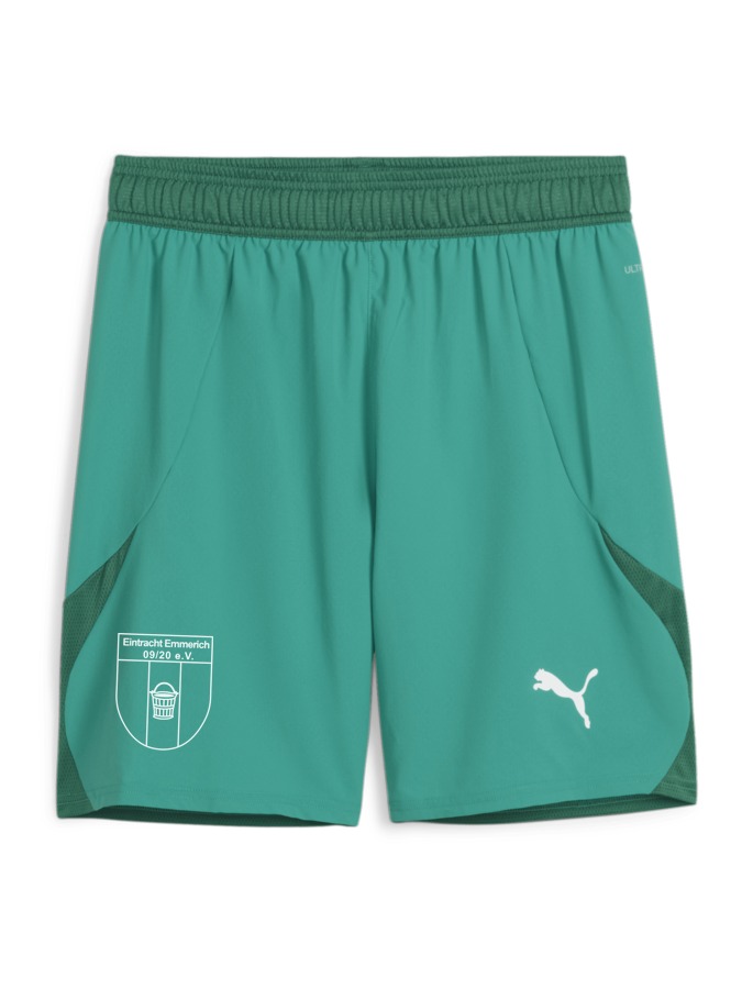 PUMA teamFINAL Shorts