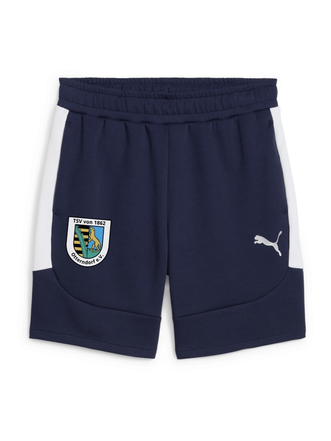 PUMA teamEVOSTRIPE Shorts