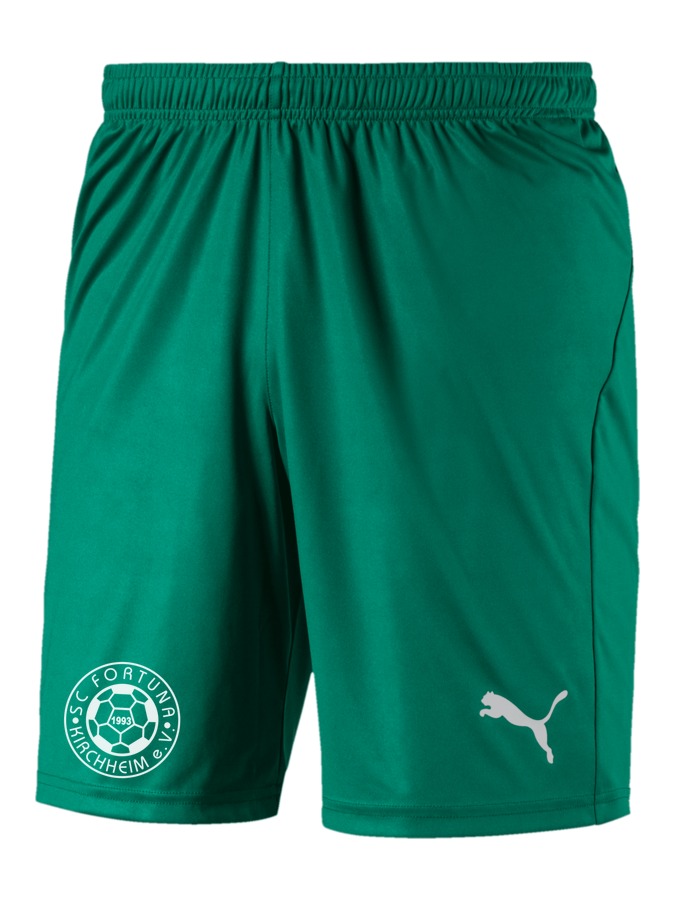 PUMA LIGA Shorts Core